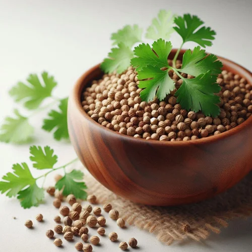 Coriander